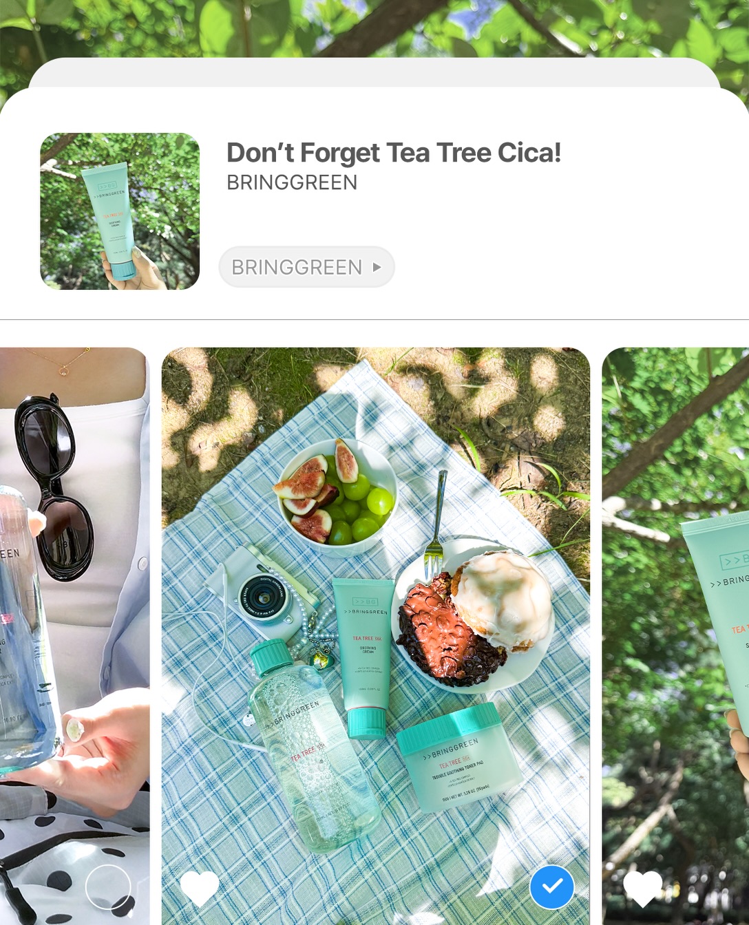 bringgreen_official 品牌动态