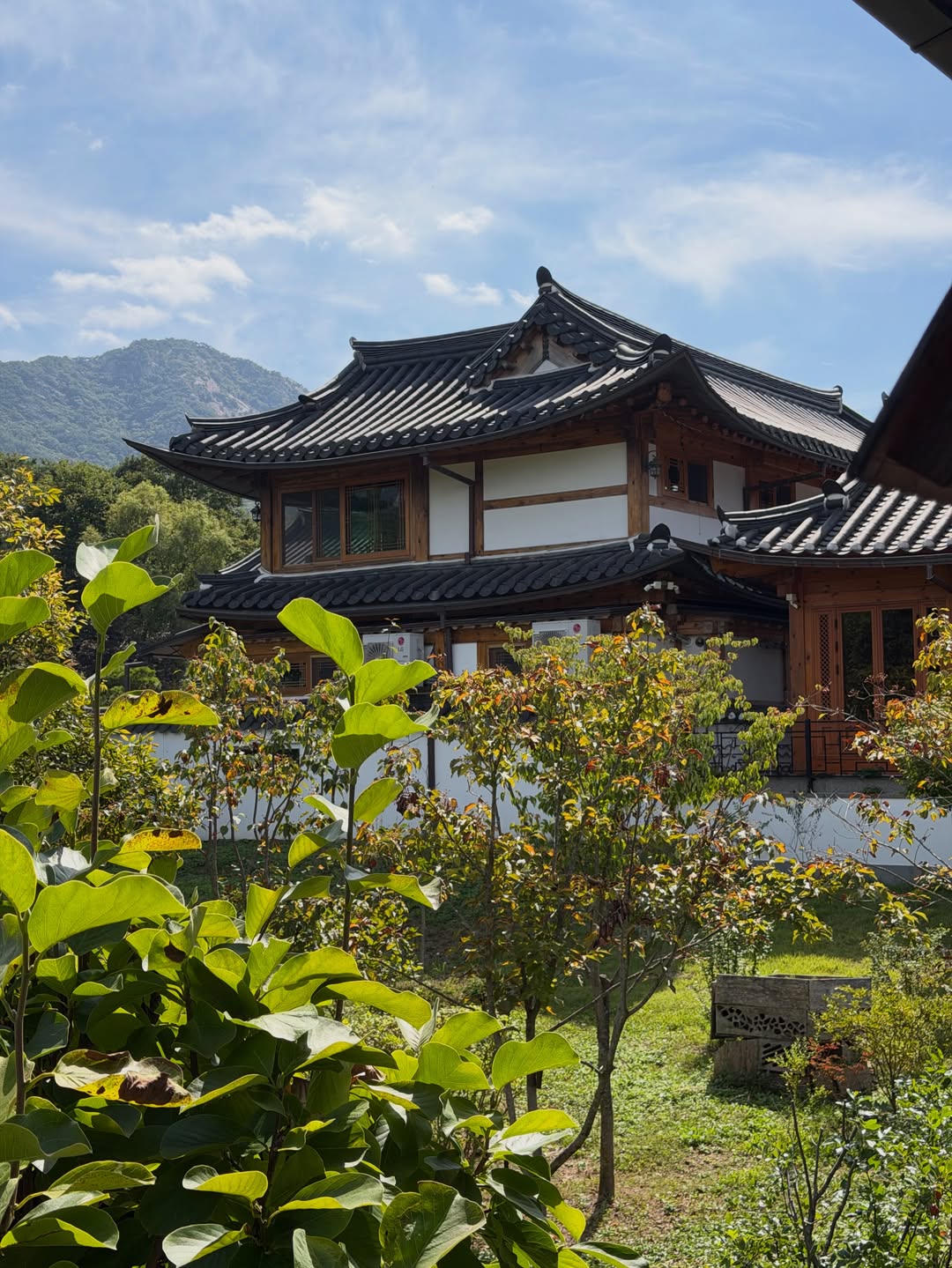 beautyofjoseon_official 品牌动态图片