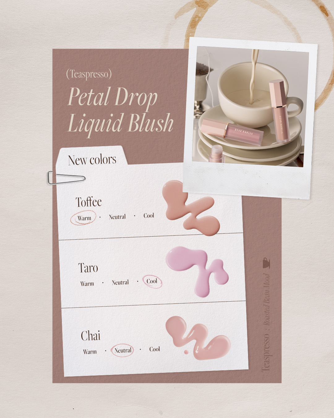 deardahlia_kr 品牌动态图片