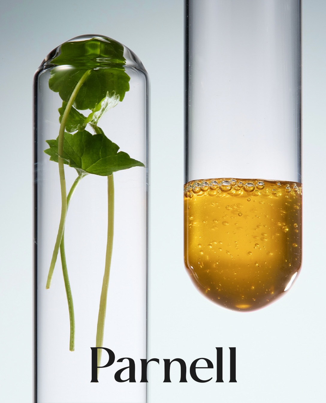 parnell.official 品牌动态图片