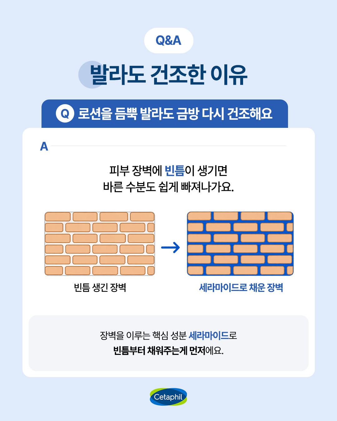 cetaphil.korea 品牌动态图片