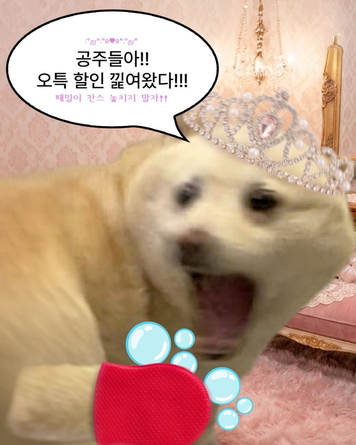 laundryou_official 视频封面