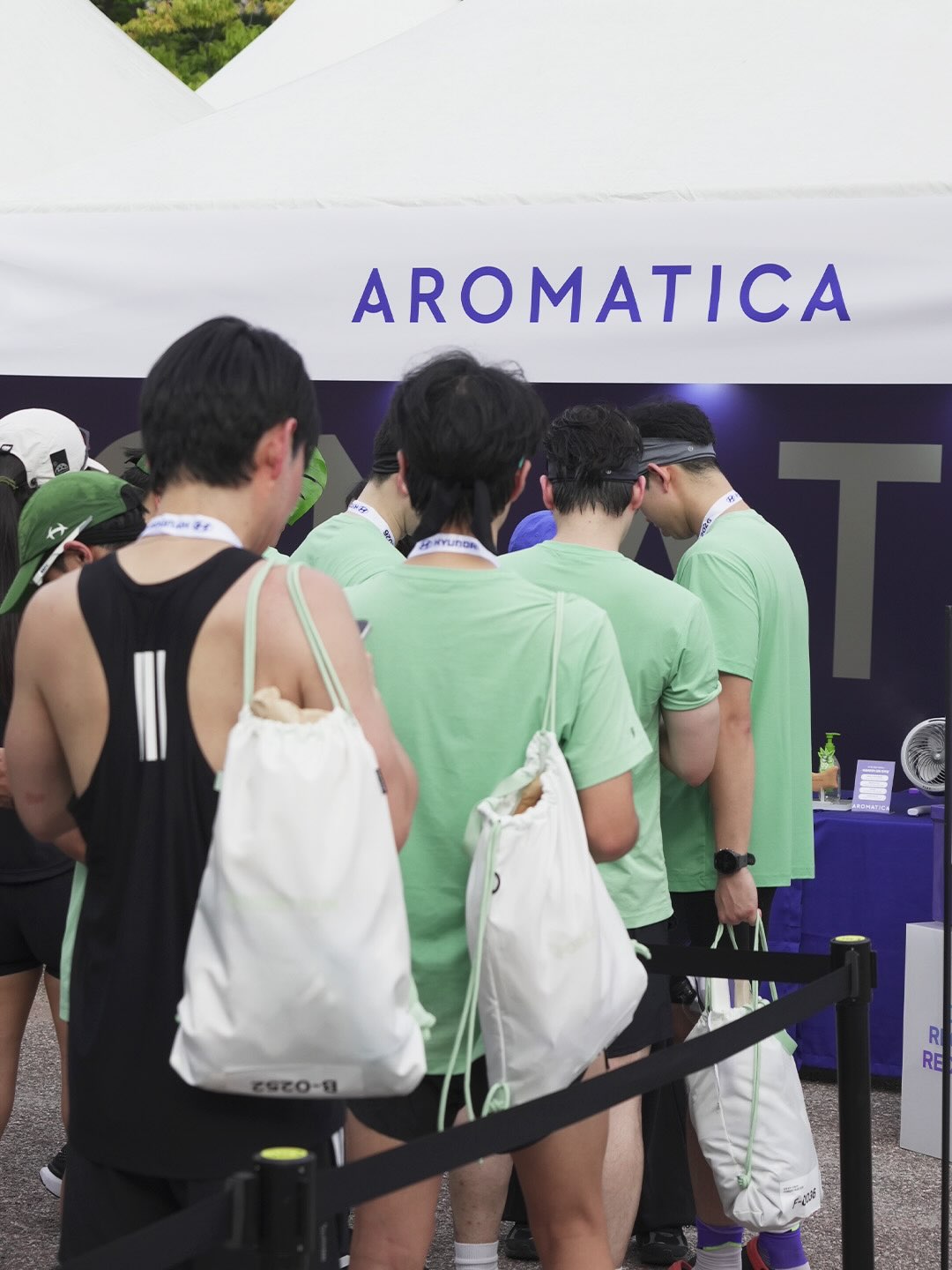 aromatica.life 品牌动态图片