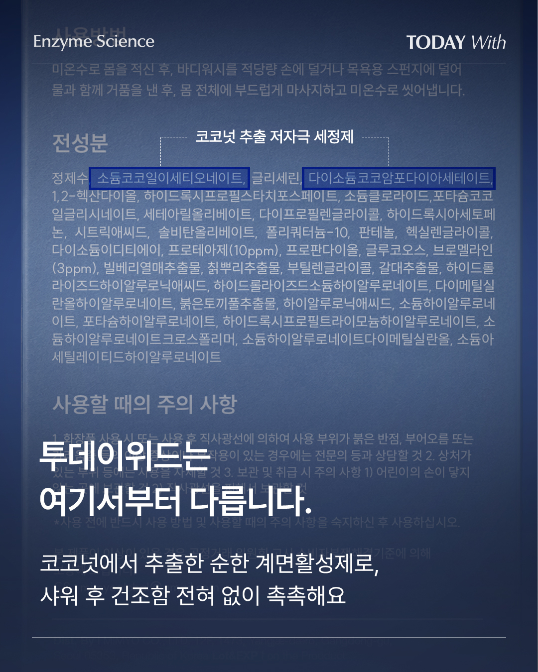 todaywith.korea 品牌动态图片