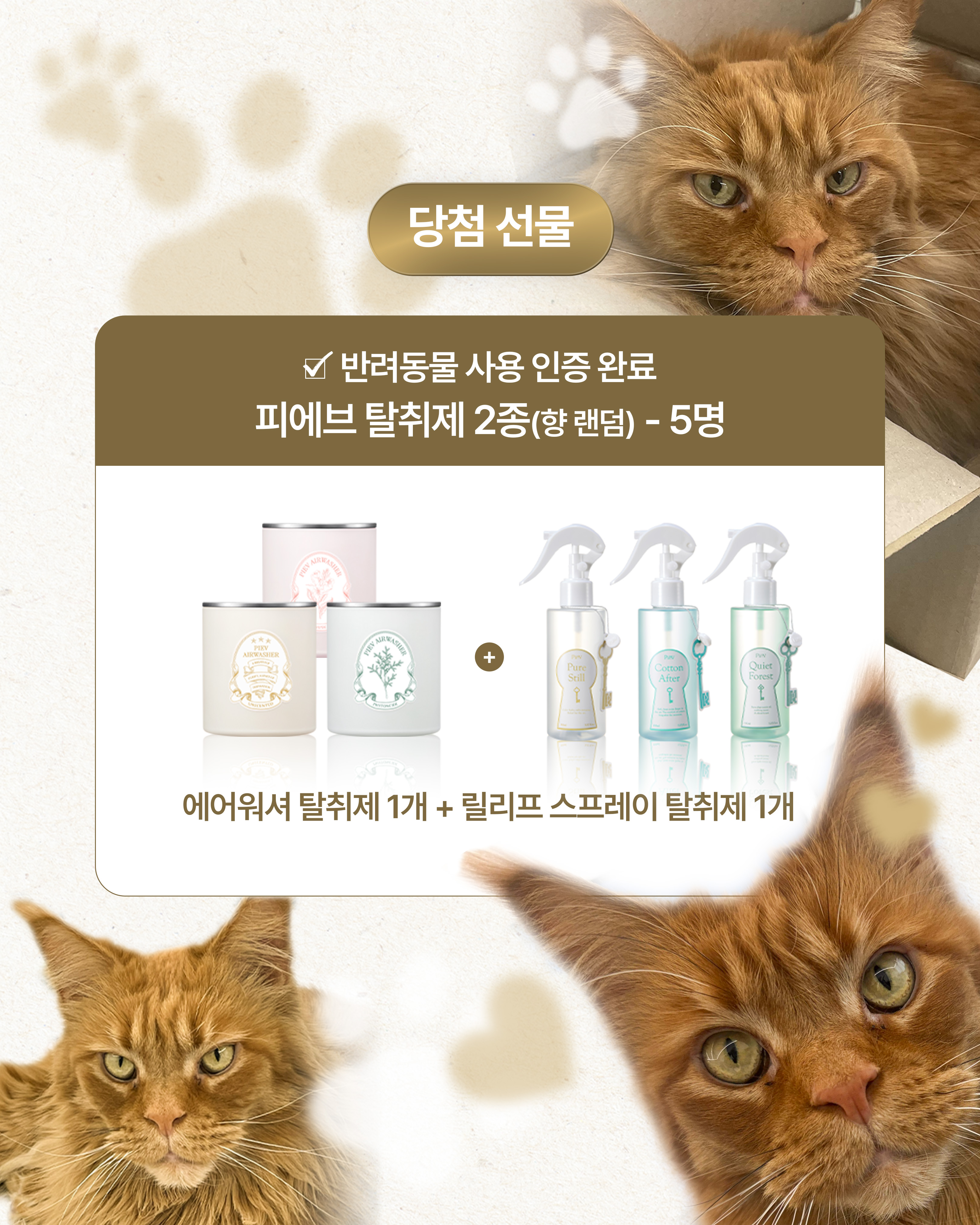 piev.official 品牌动态图片