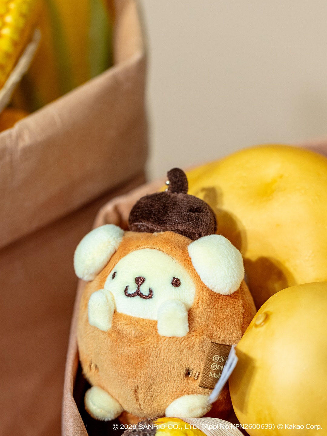 kakaofriends_official 品牌动态图片