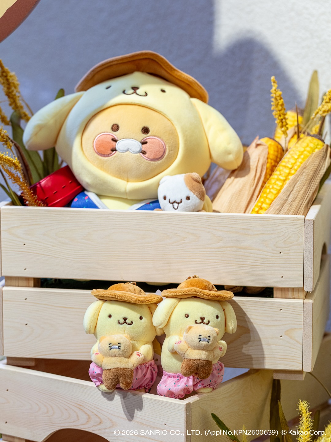 kakaofriends_official 品牌动态图片
