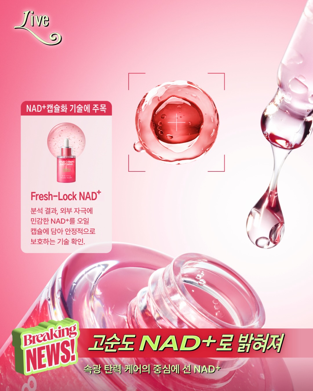 holikaholika_official 品牌动态图片