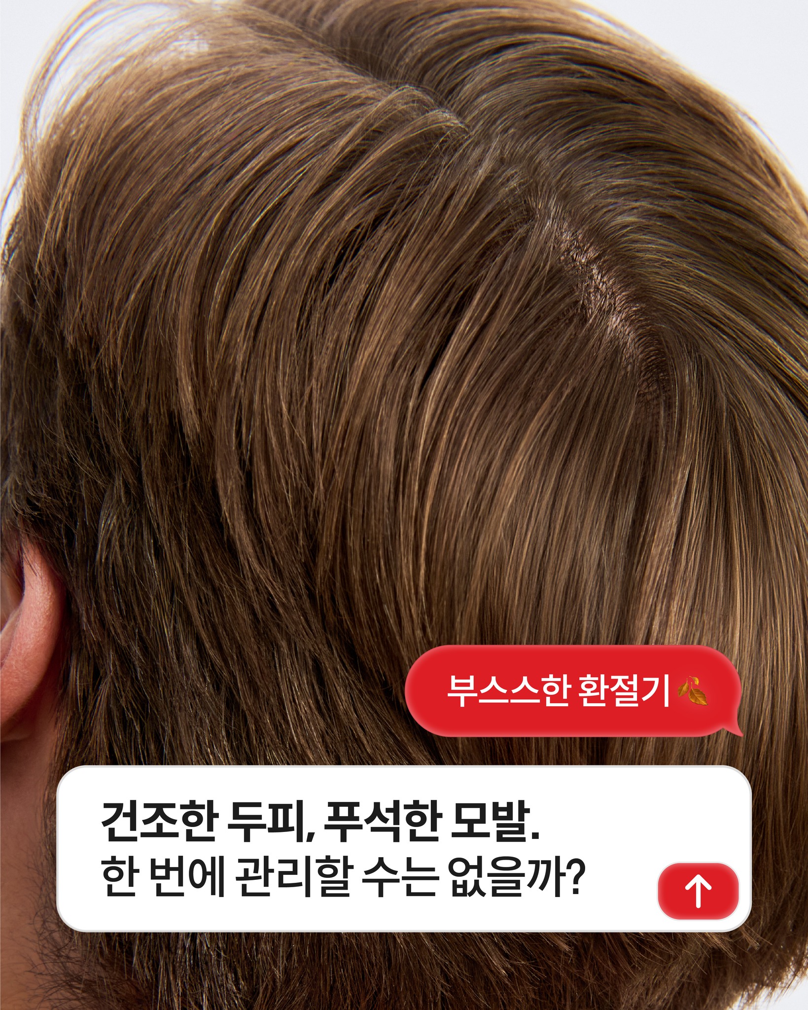 drforhair.kr 品牌动态图片