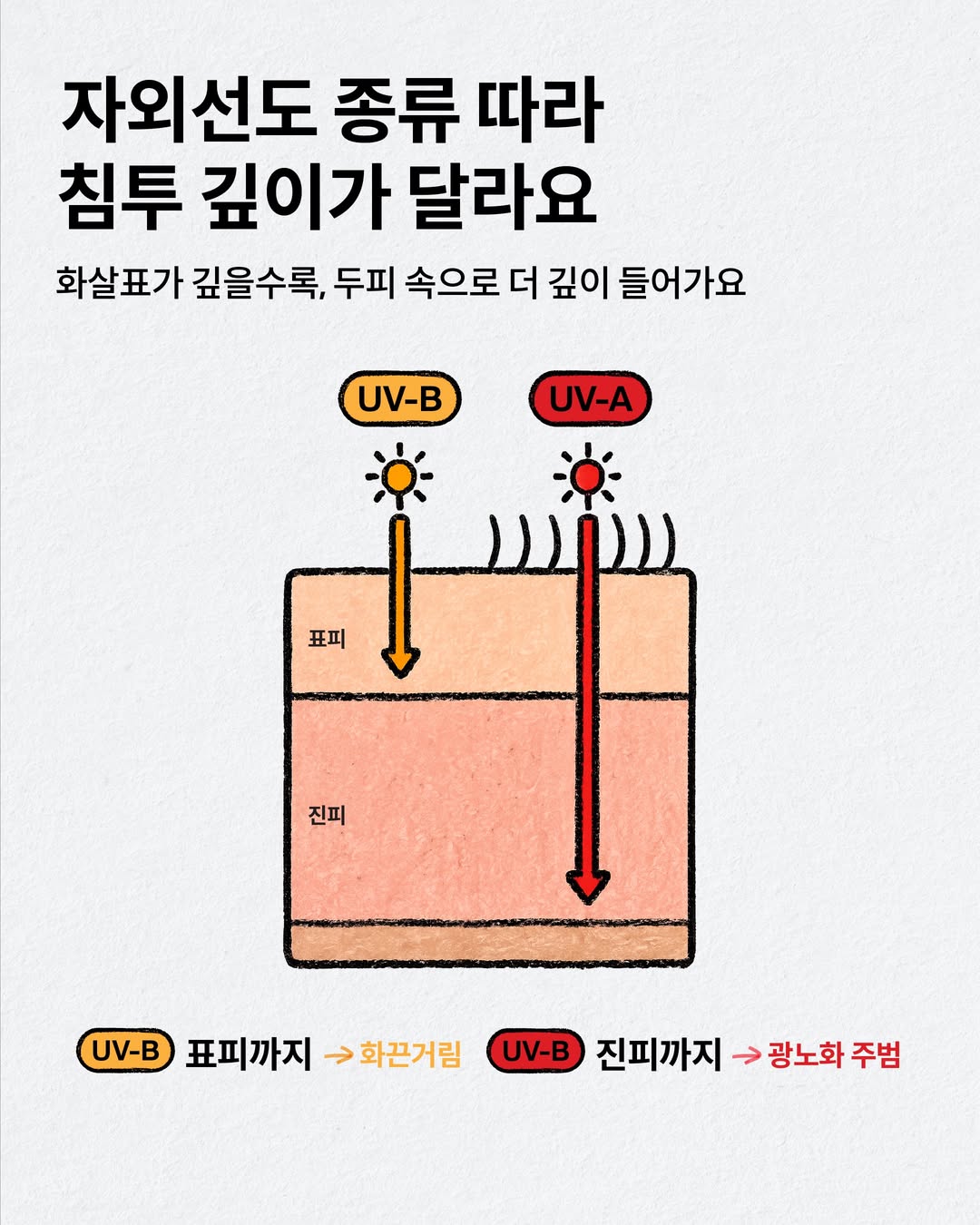 drforhair.kr 品牌动态图片