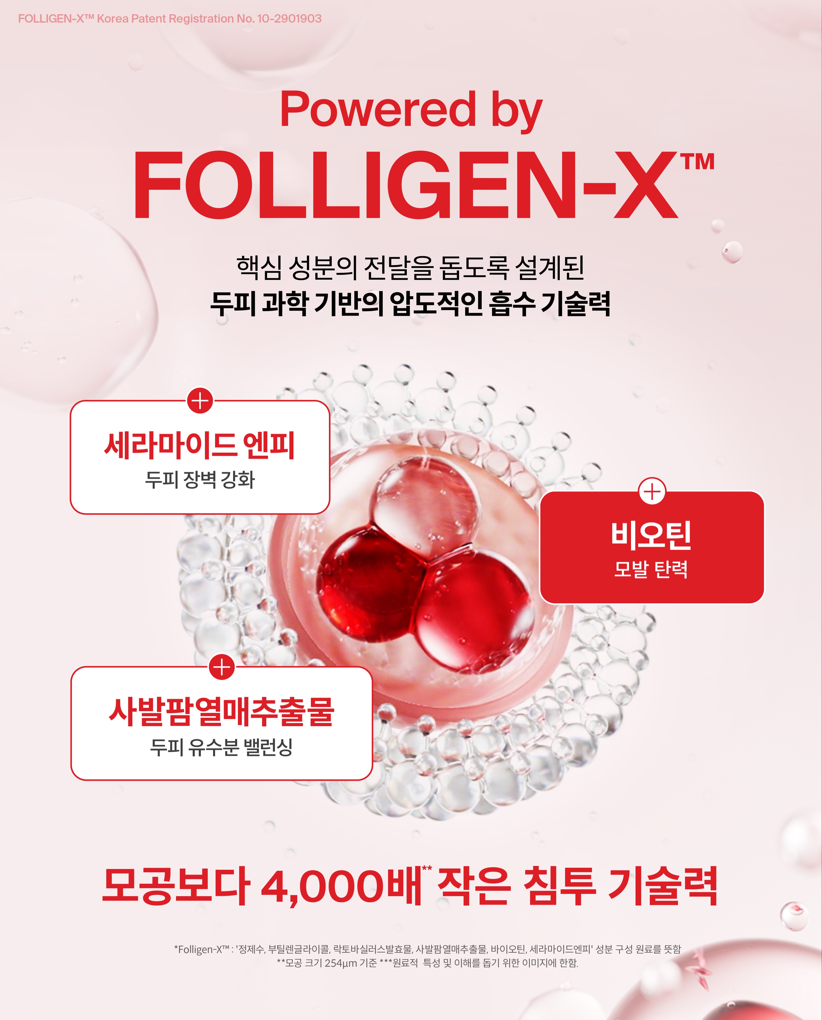 drforhair.kr 品牌动态图片