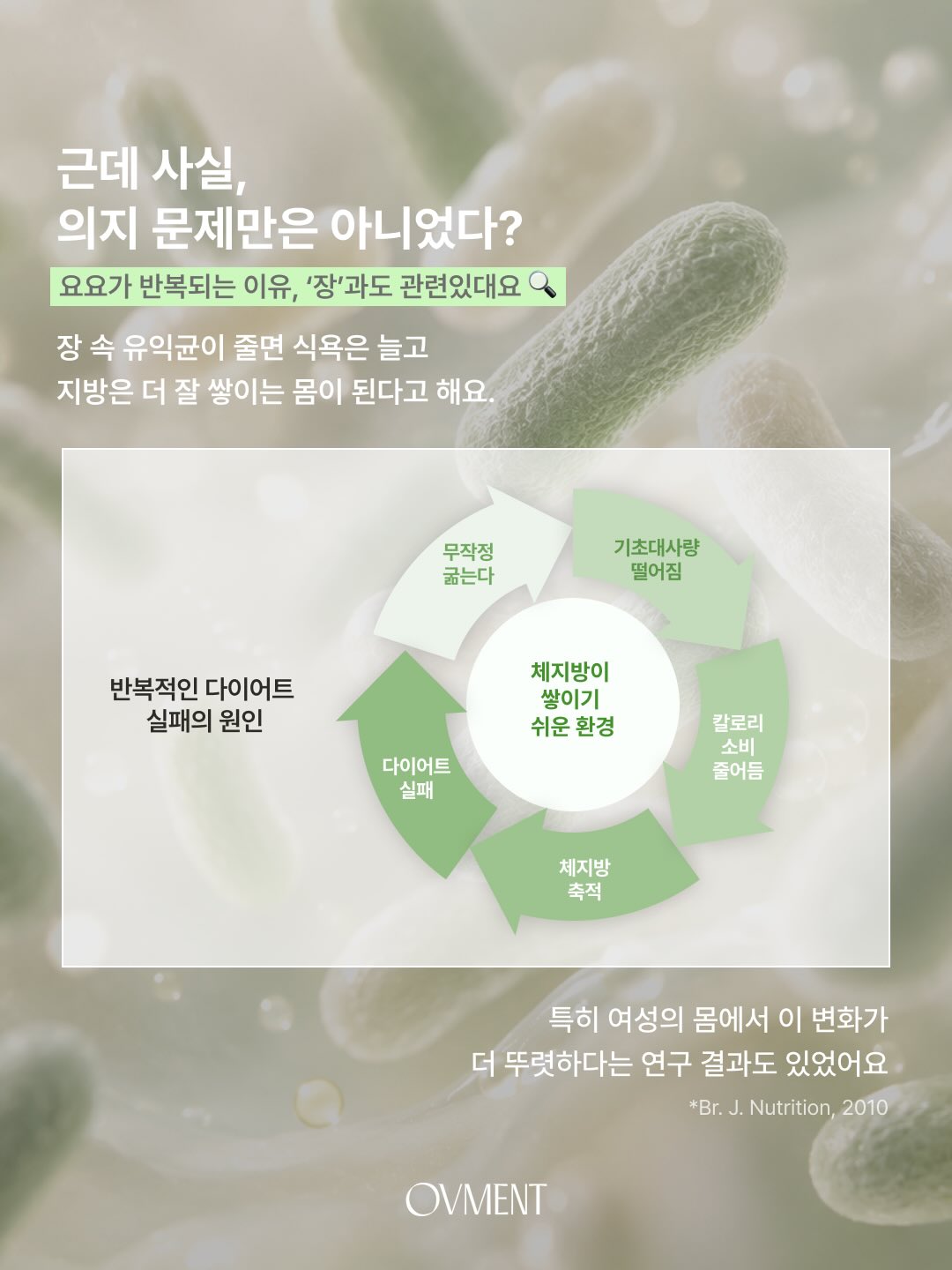 ovment.official 品牌动态图片