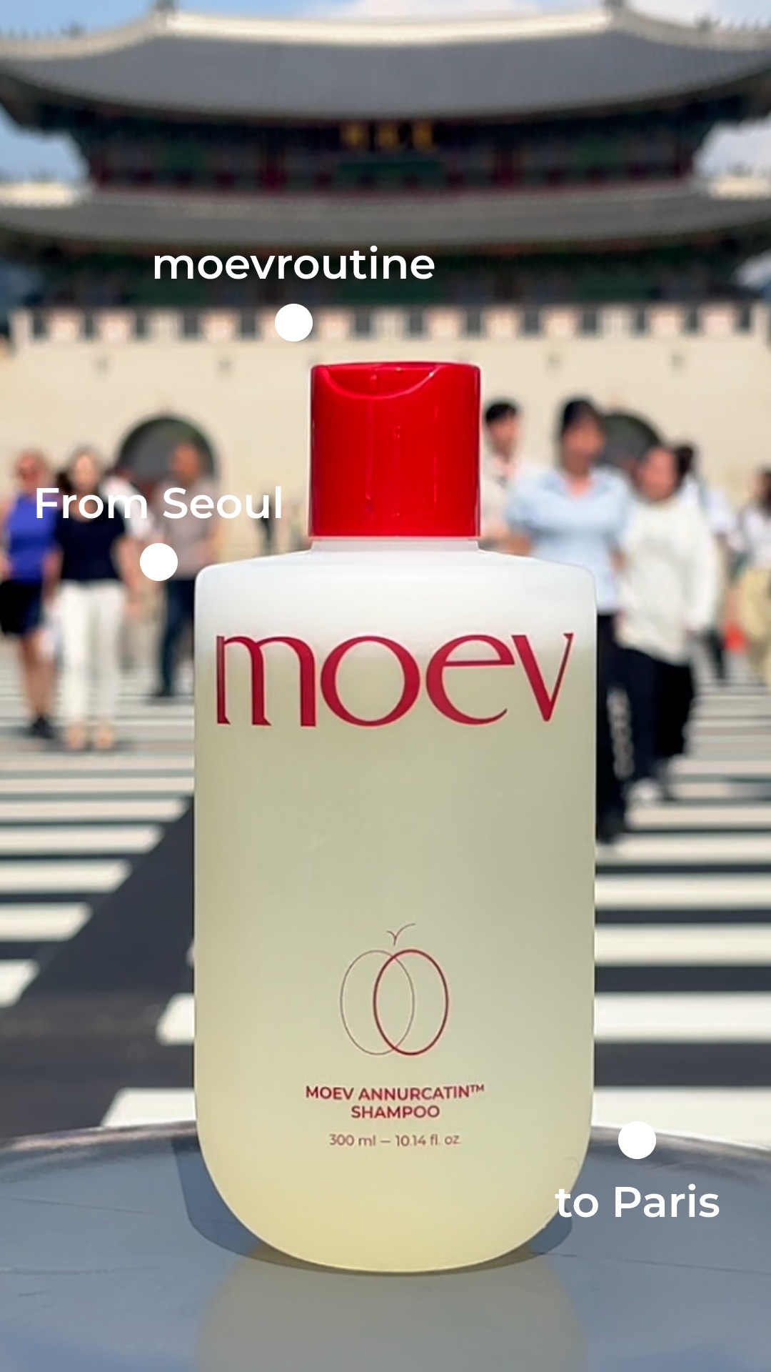moev_global 品牌动态