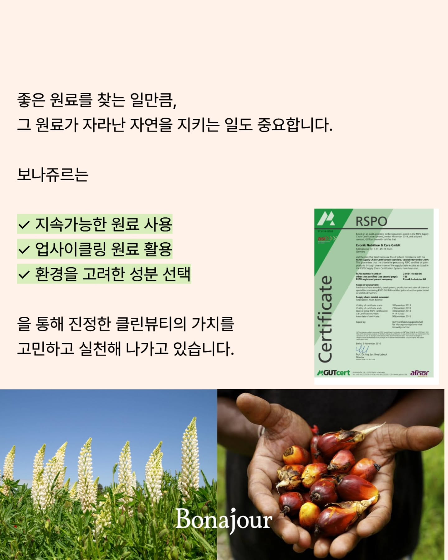 bonajour_official 品牌动态图片