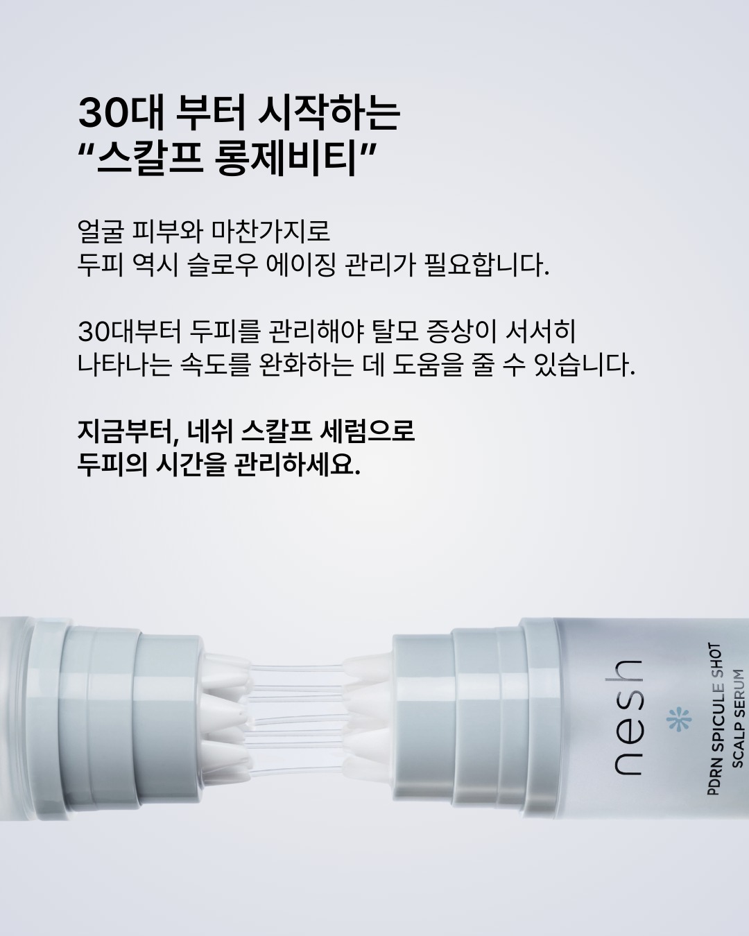 nesh.kr 品牌动态图片