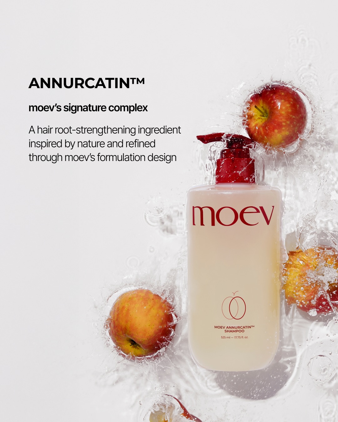 moev_global 品牌动态图片