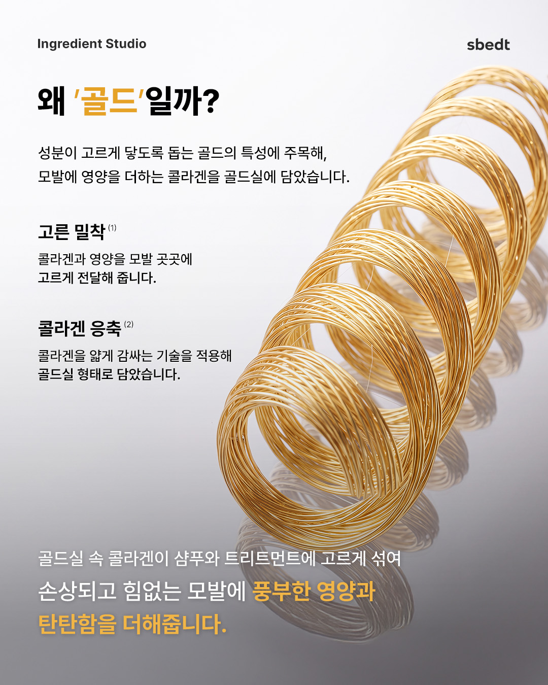 sungbooneditor_official 品牌动态图片