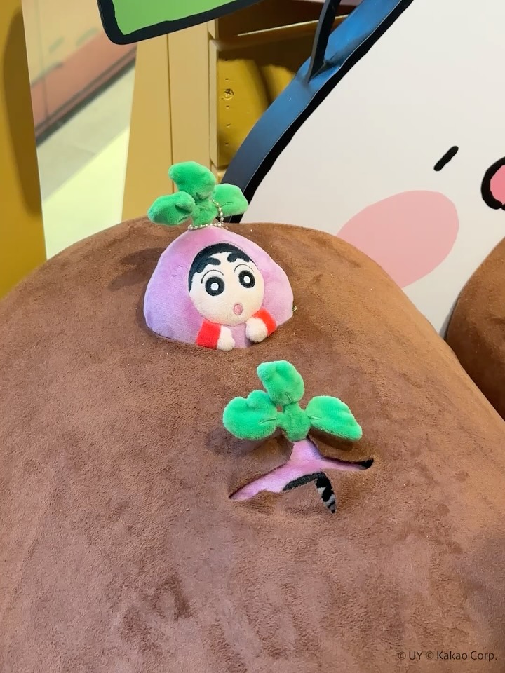 kakaofriends_official 视频封面