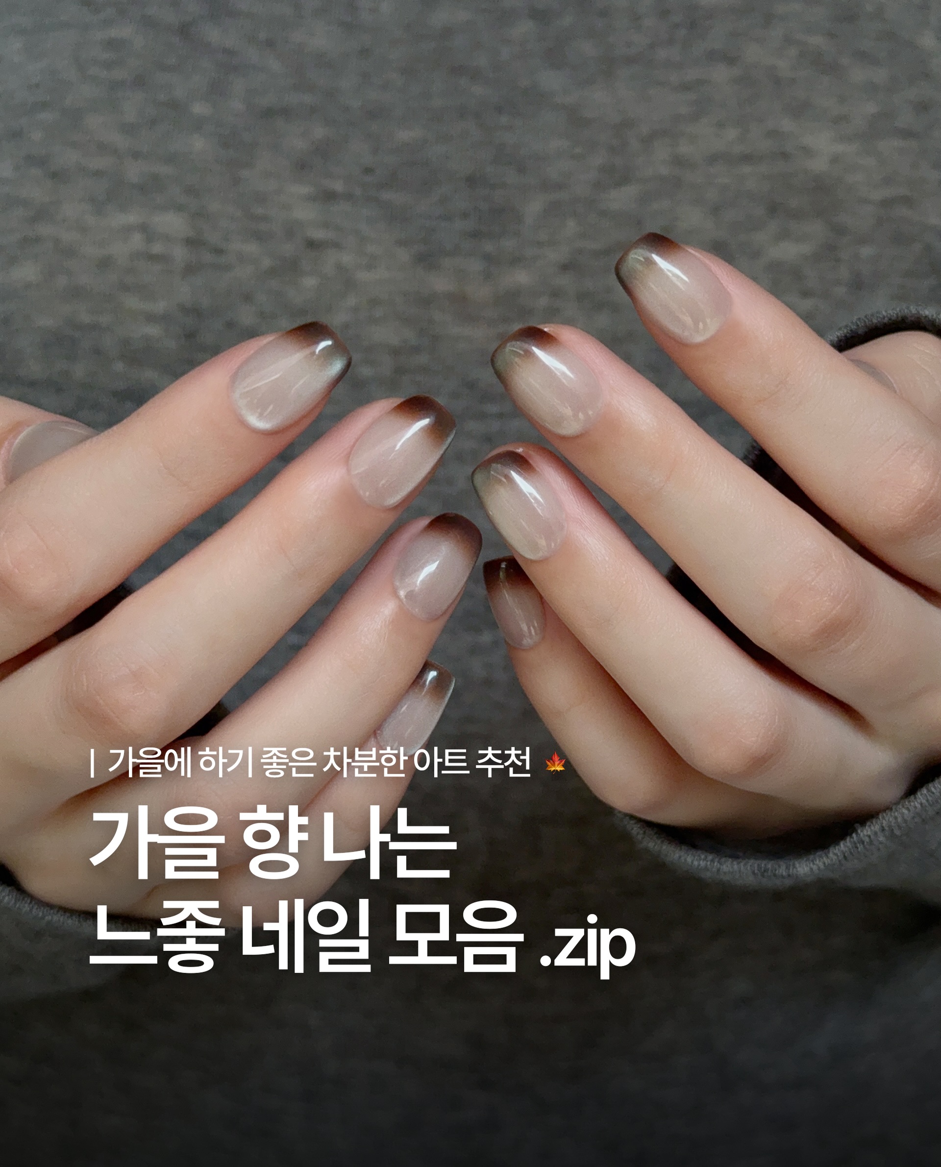 ohora_kr 品牌动态