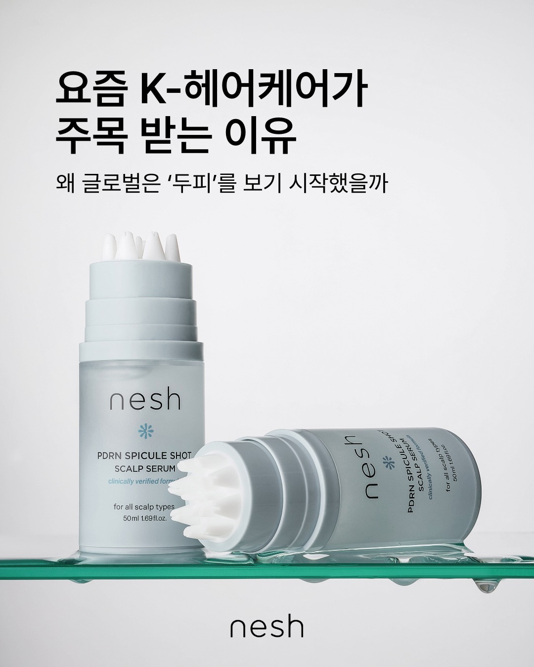 nesh.kr 品牌动态