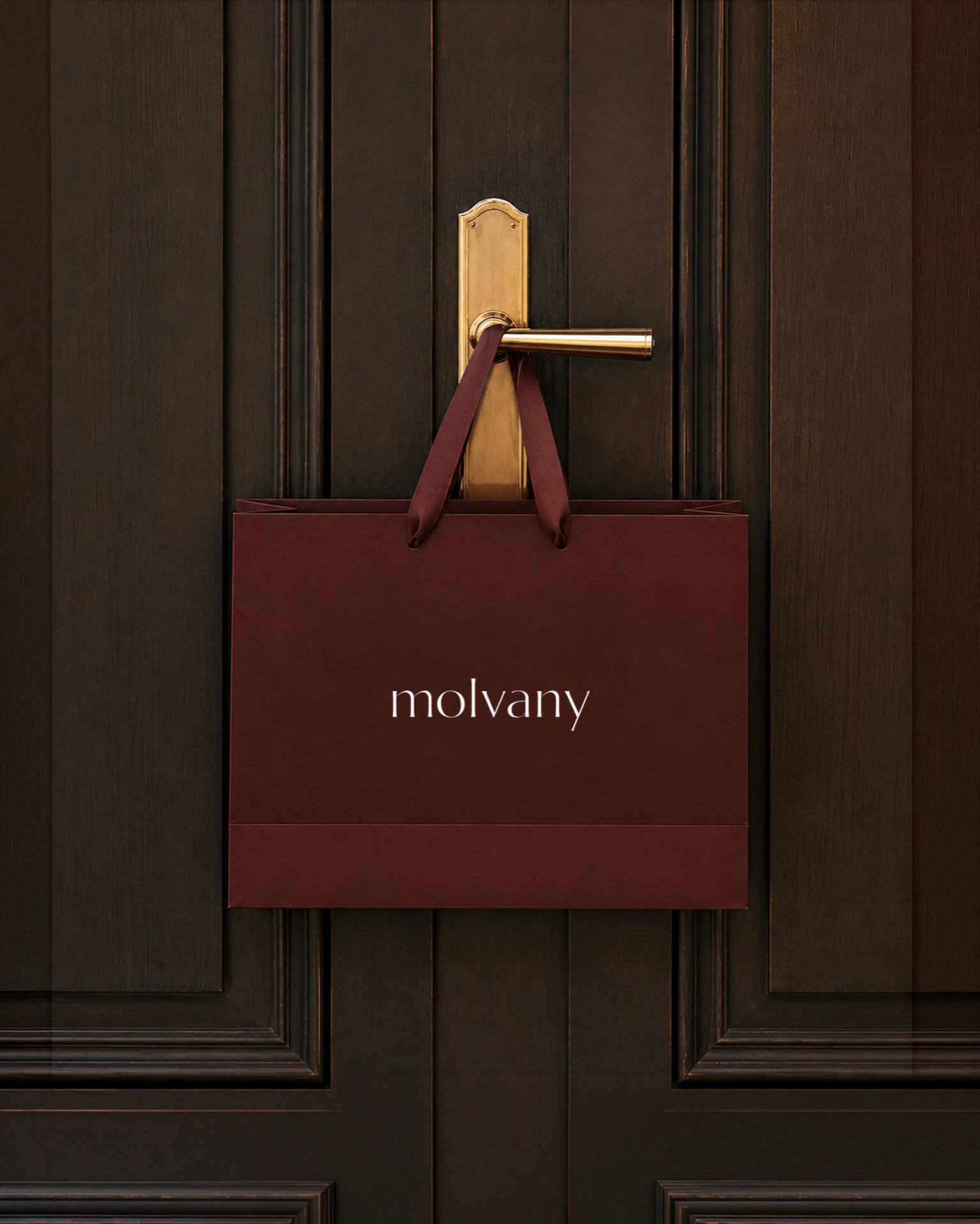 molvany_official 品牌动态