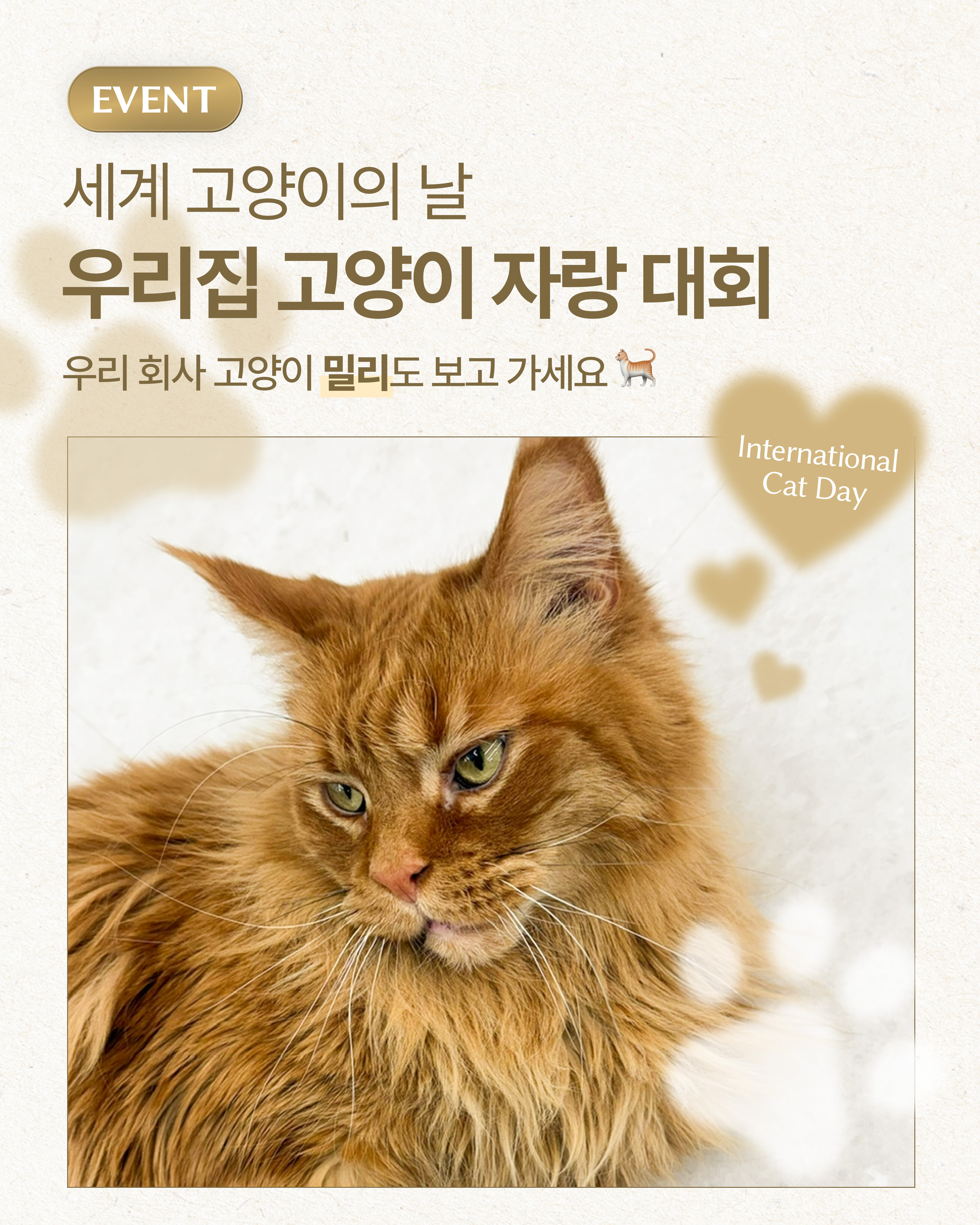 piev.official 品牌动态