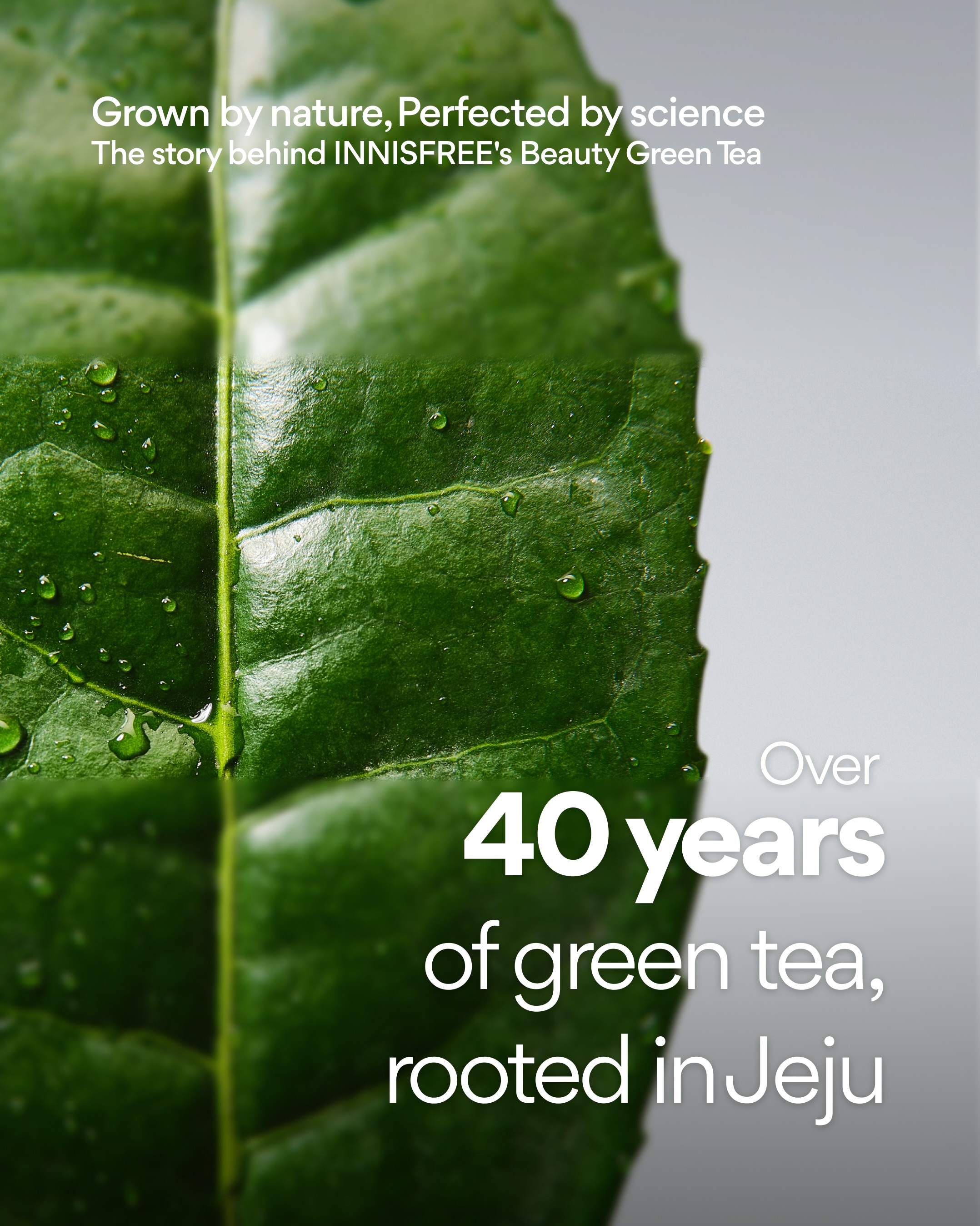 innisfreeofficial 品牌动态
