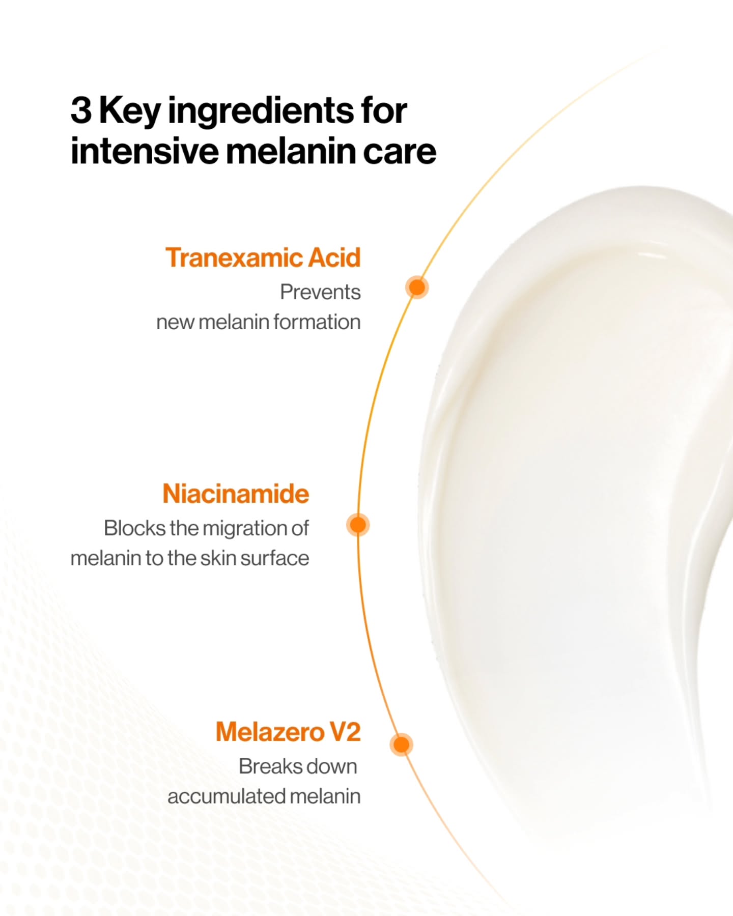 celimax.global 品牌动态图片