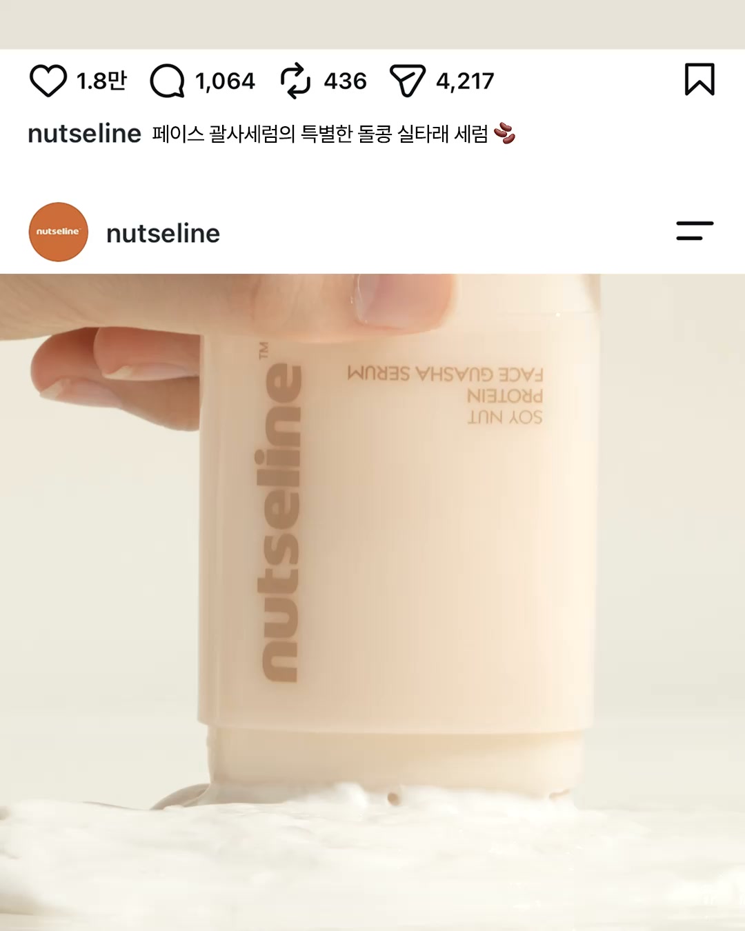 nutseline 品牌动态