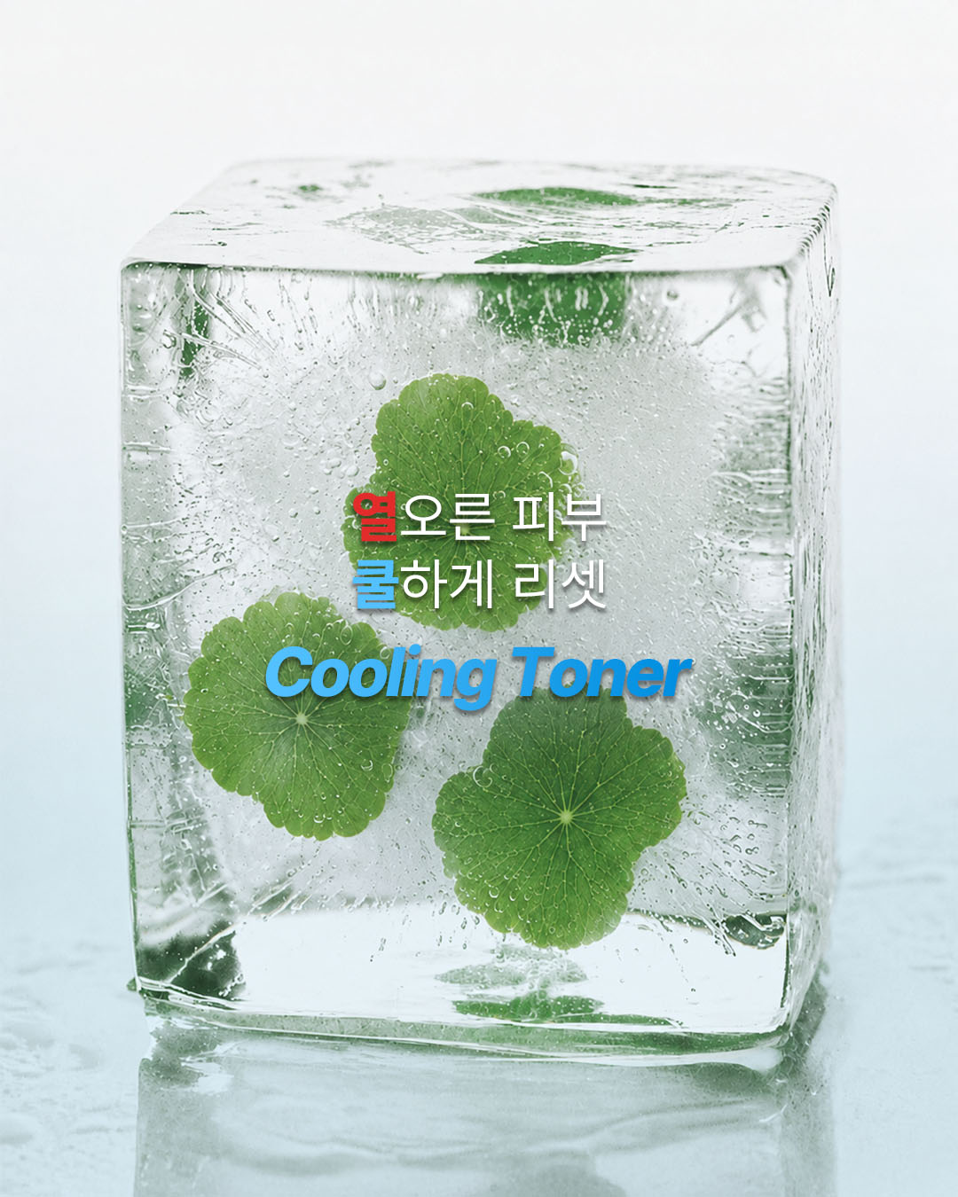 nacific_kr 品牌动态
