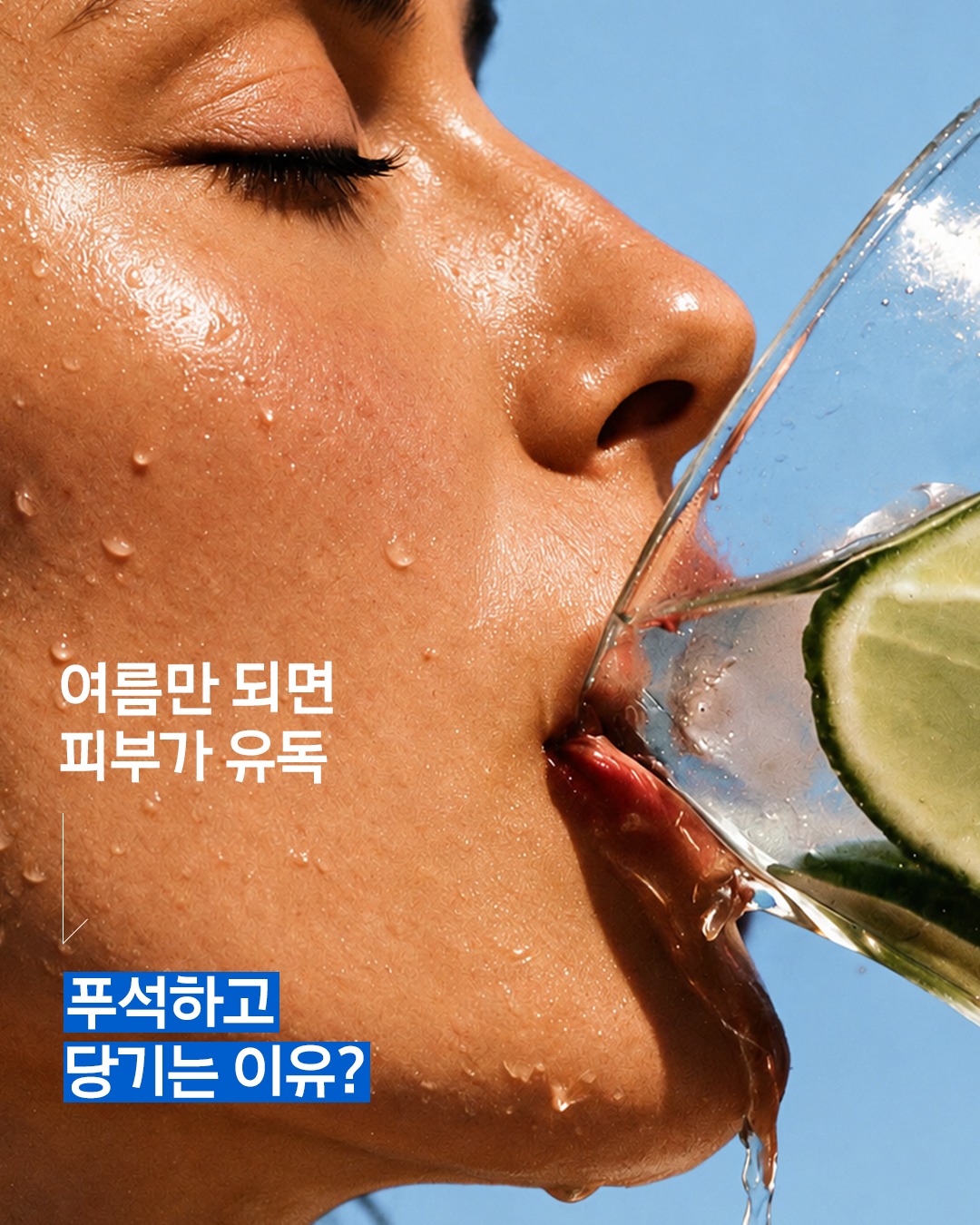 primera.official 品牌动态