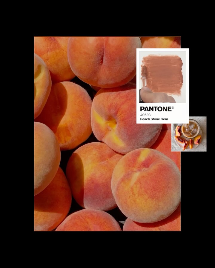 entropymakeup 视频封面