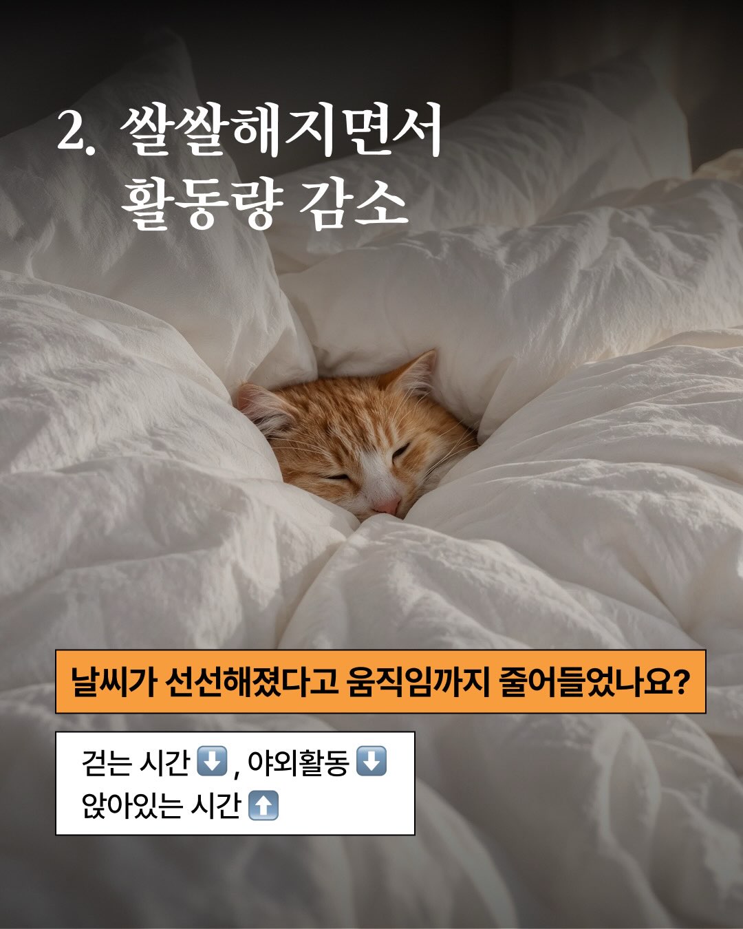 pulio_official 品牌动态图片