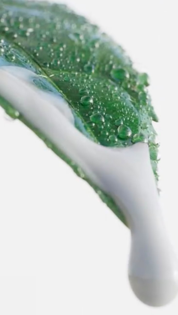 innisfreeofficial 品牌动态
