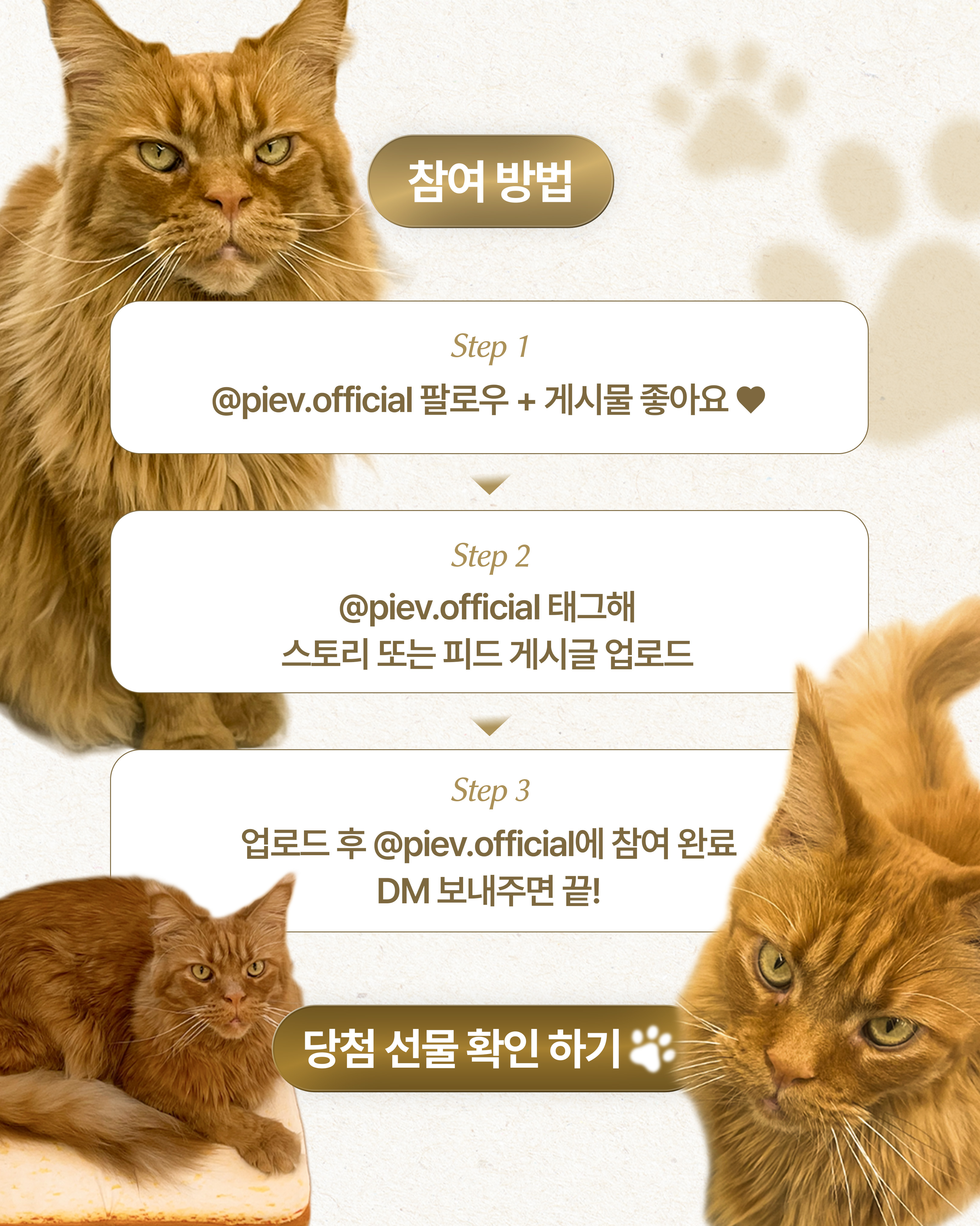 piev.official 品牌动态图片