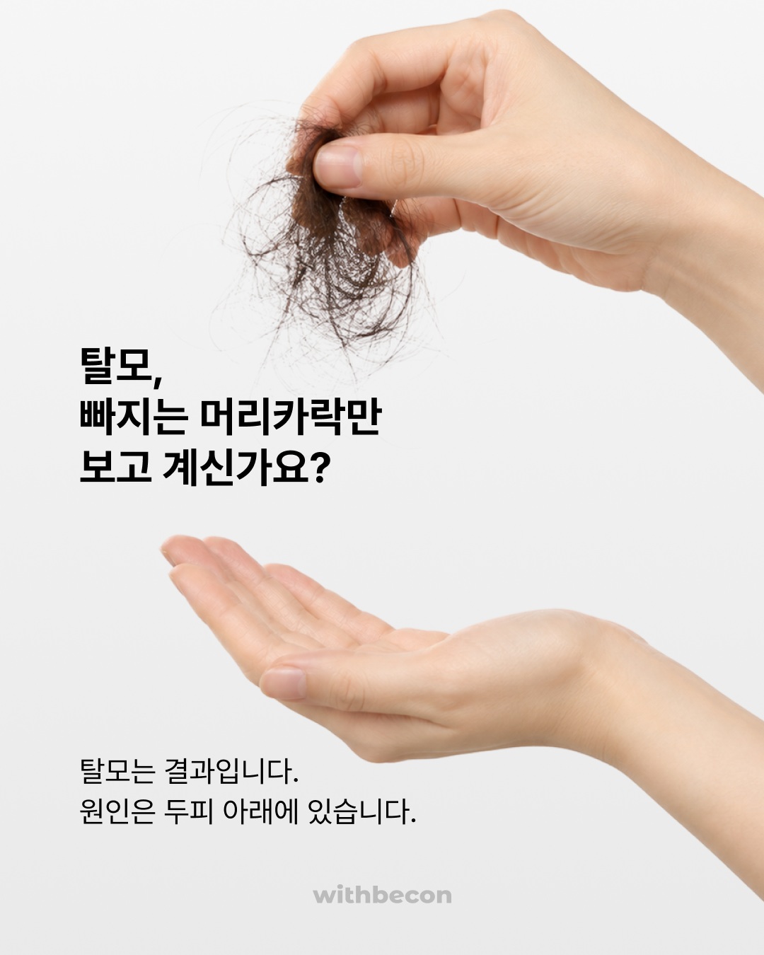 withbecon 品牌动态