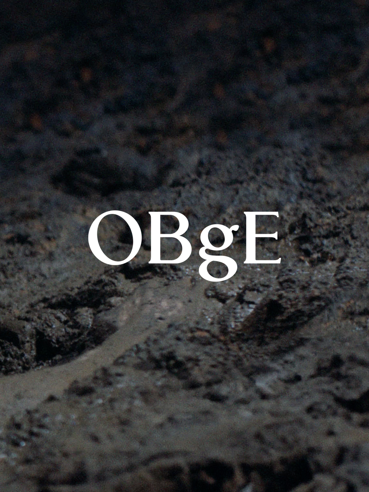 obge_official 品牌动态