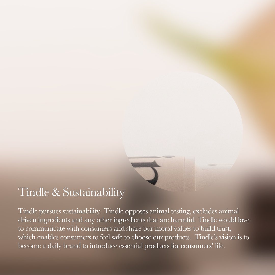 tindle.seoul 品牌动态