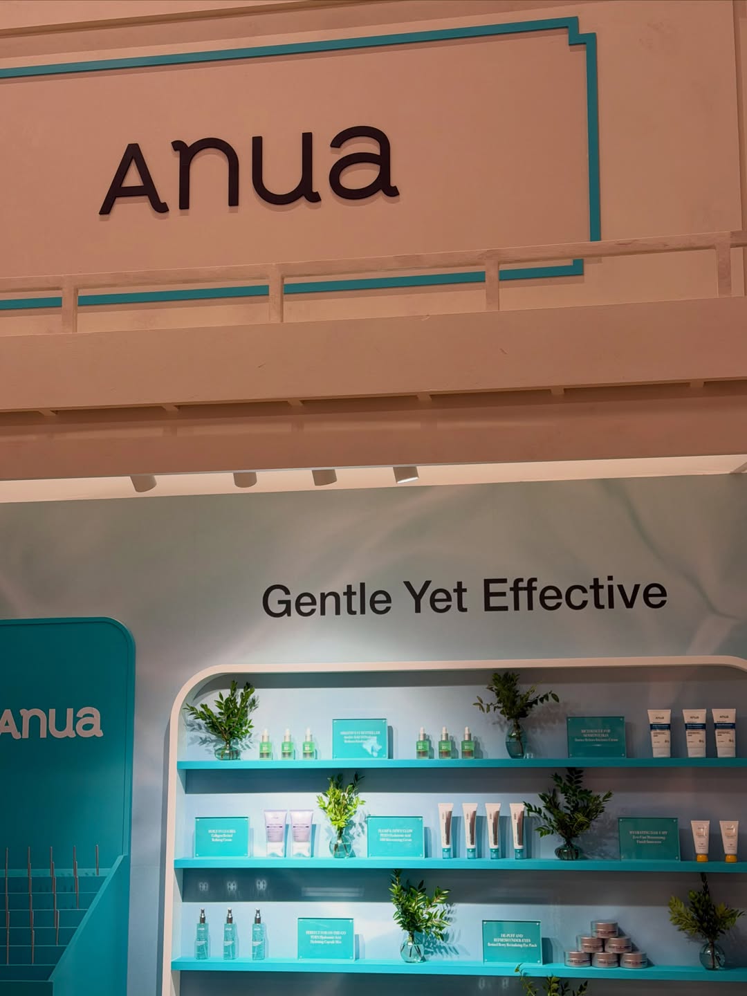 anua_global 品牌动态
