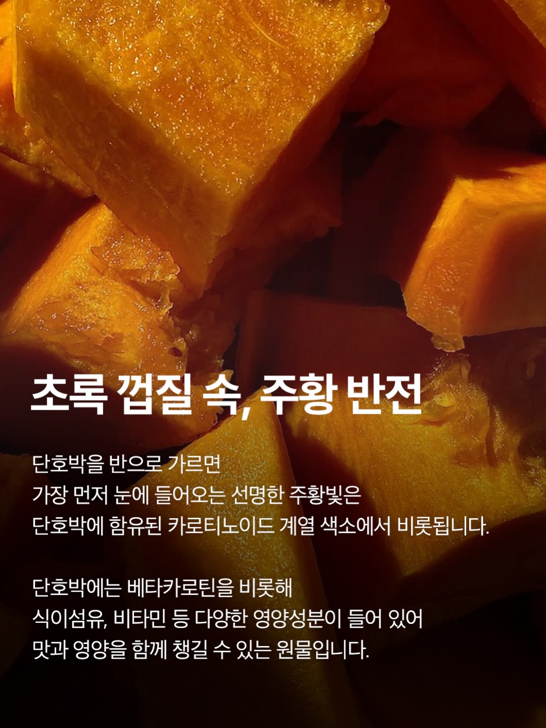 garumaster 品牌动态图片