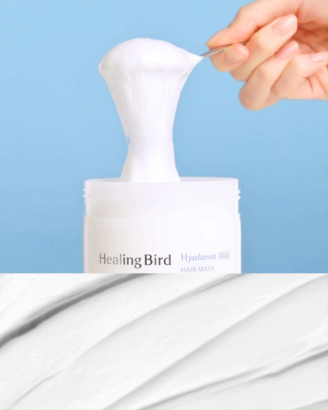 healingbird_official 视频封面