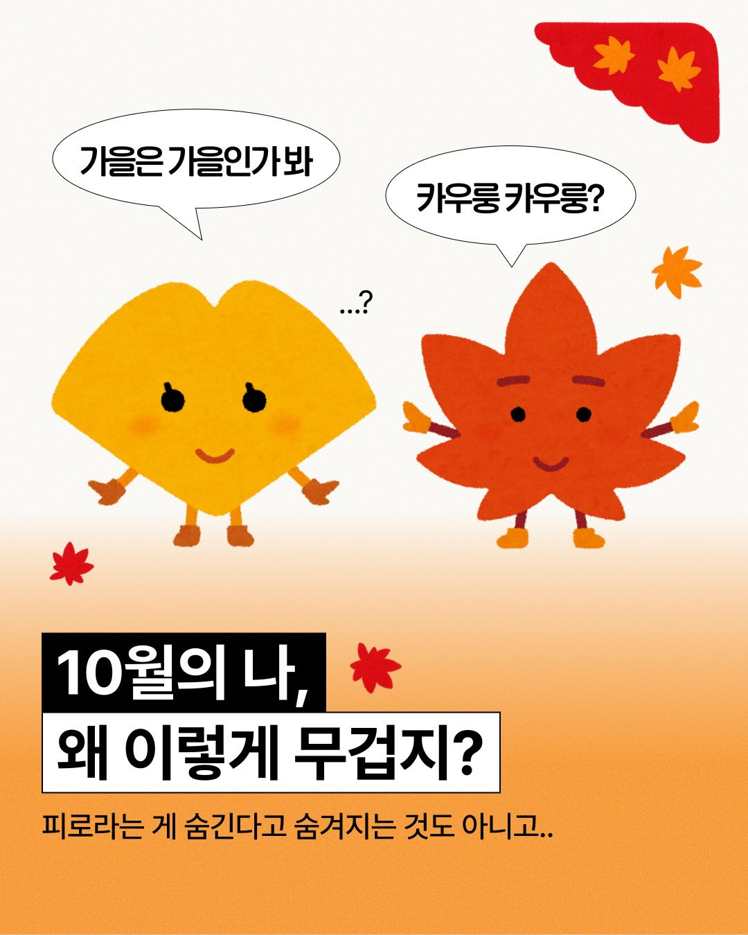 pulio_official 品牌动态