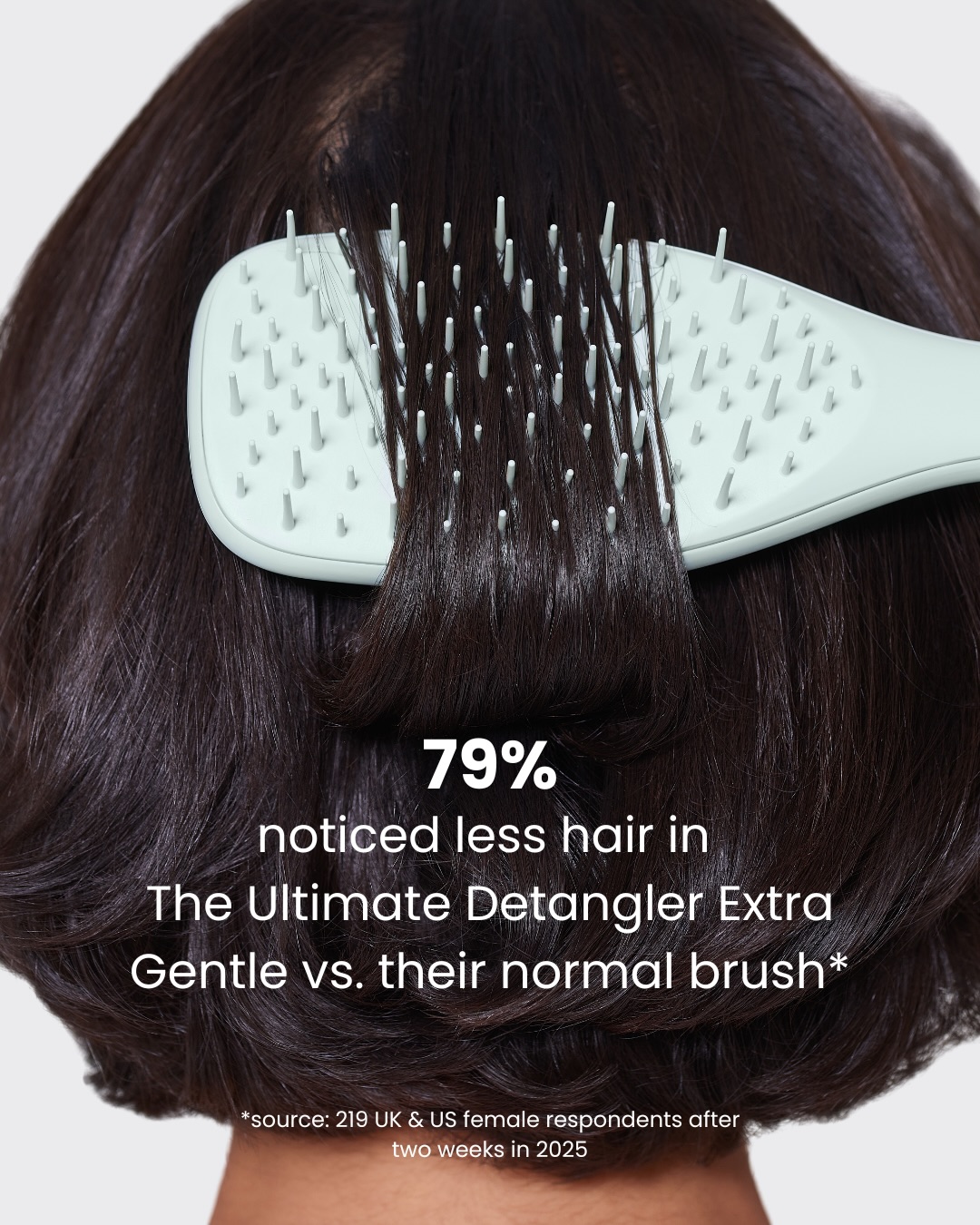 tangleteezer 品牌动态图片