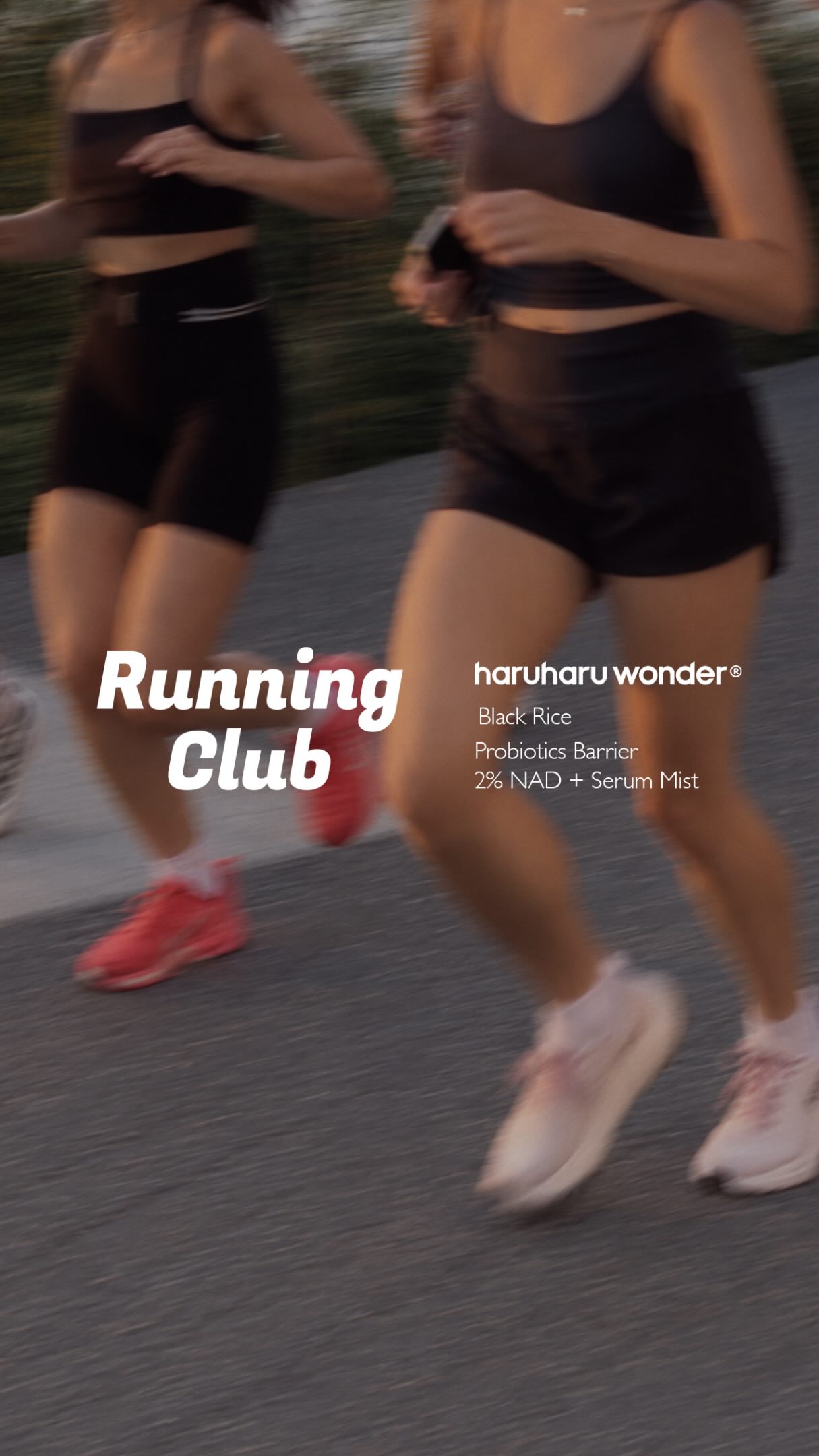 haruharuwonder_official 品牌动态