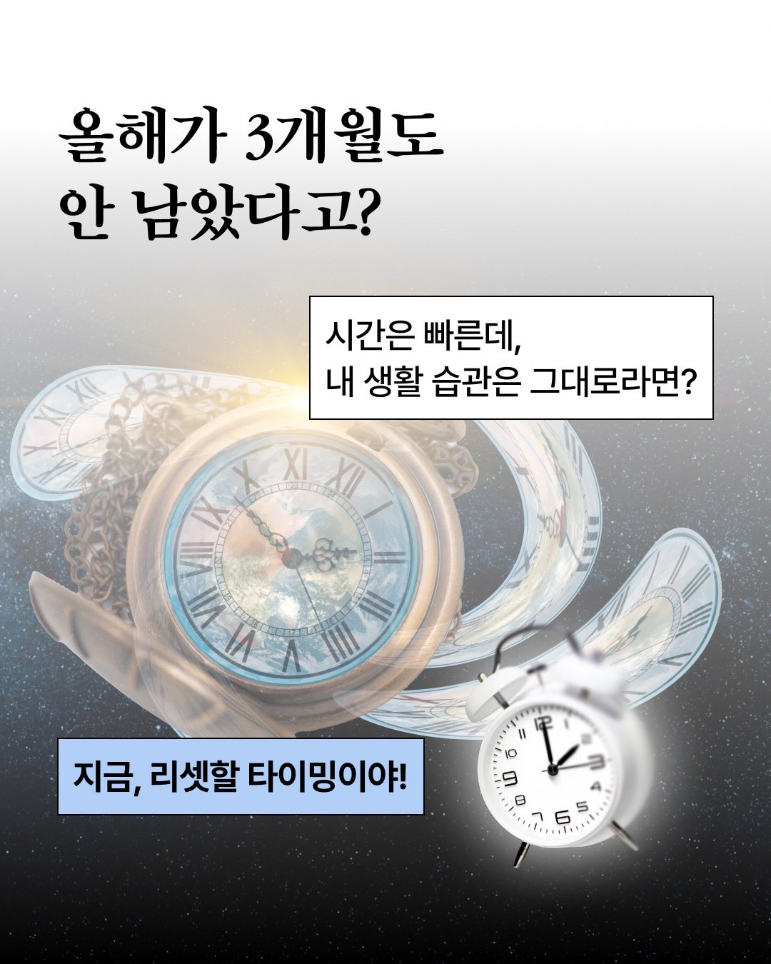 pulio_official 品牌动态图片