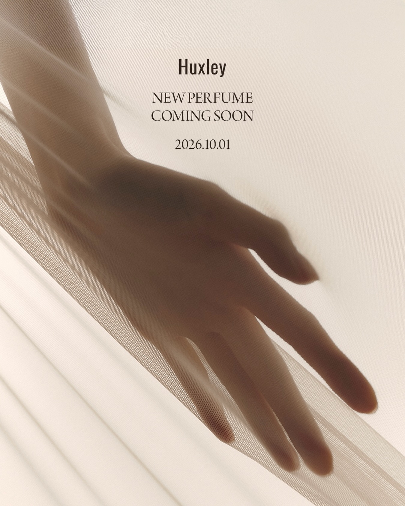 huxley_korea 品牌动态