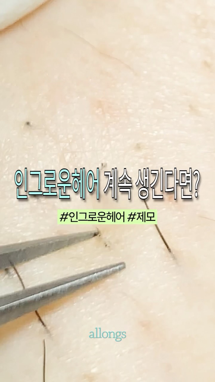 allongs_official 品牌动态
