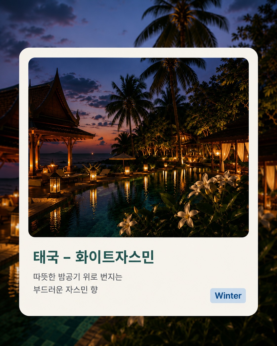 cocodor.official 品牌动态图片