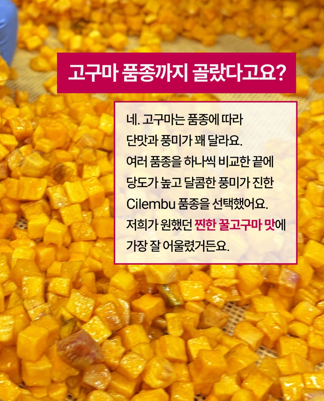 cruntin.kr 品牌动态图片