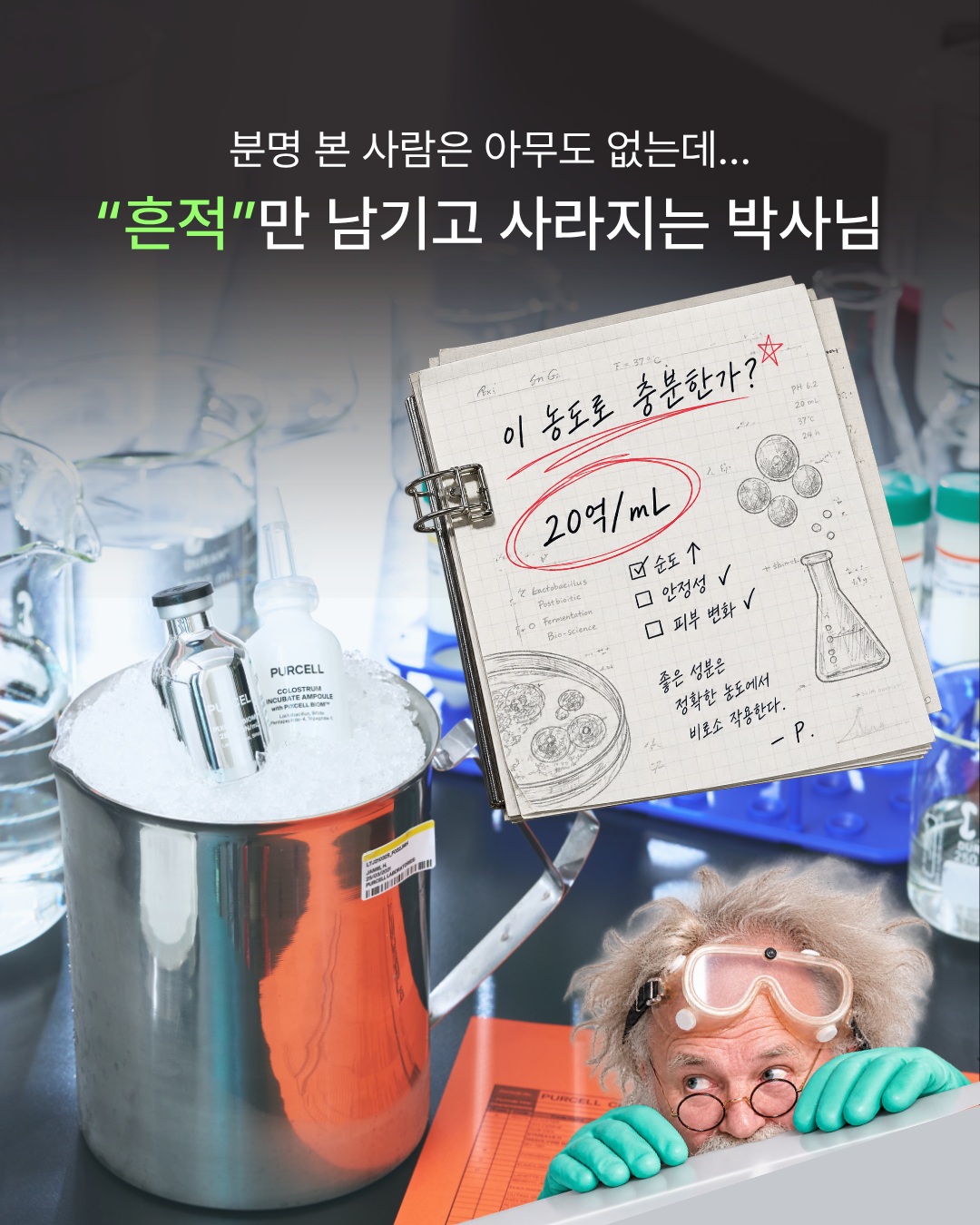 purcell.seoul 品牌动态图片